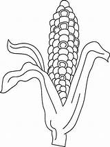 Corn Coloring Pages Drawing Stalk Vegetables Stalks Recommended Color Paintingvalley sketch template
