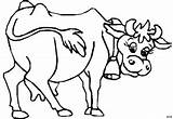 Kuh Gloeckchen Malvorlagen Cow Cows Malvorlage Titel sketch template