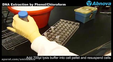 Dna Extraction By Phenol Chloroform