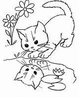 Filhotes Gatos Gatinhos Coloring Kittens sketch template