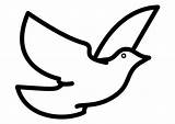 Duif Taube Kleurplaat Piccione Malvorlage Paloma Dibujo Kleurplaten Ausdrucken Ausmalbild Ausmalbilder Grandes Katholischen Vogel Heiligen Oiseau sketch template
