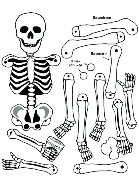 halloween skeleton coloring pages  getcoloringscom  printable