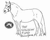 Fjord Horse Coloring Pages Norwegian Choose Board sketch template