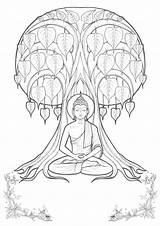 Buddha Bouddha Arbre Buddhism Bouddhisme Dessiner Coloriages sketch template