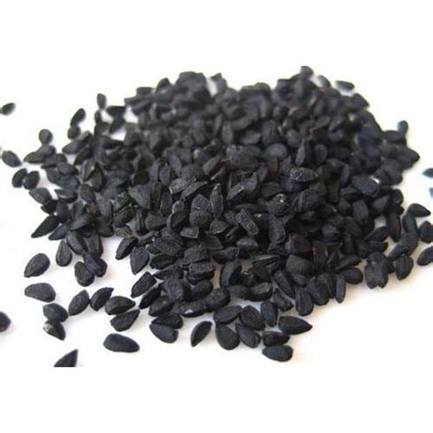 black cumin seeds black jeera latest price manufacturers and suppliers