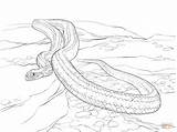 Snake Coloring Pages Rat Yellow Printable Print Supercoloring Drawing Snakes Reptiles Sheets sketch template