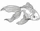 Coloring Fish Betta Pages Popular sketch template