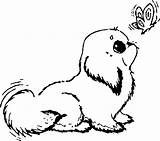 Coloring Pages Barbie Dog Puppy Getcolorings Printable Puppies Promising sketch template