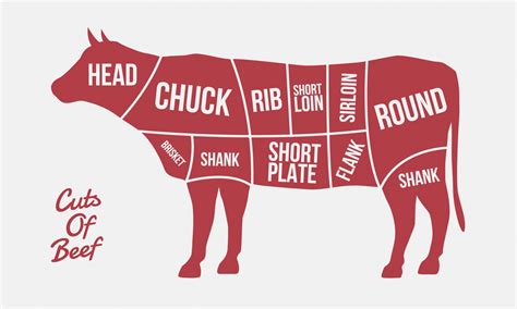 comprehensive guide   cut  beef