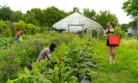 organic farm grows future leaders  reaping local awards