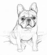 Bulldog Frenchie Pages Realistic Hopeful Worried Bulldogs Awfully Notecards Combee sketch template
