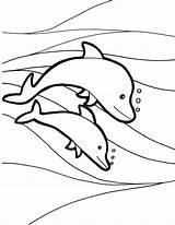 Dolphins Delfines Dofins Raskrasil sketch template