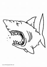 Shark Coloring Pages Printable Color Kids Sharks Animal Fish Clipart Print Open Games Rainbow Printables Popular Jaw Book Library sketch template