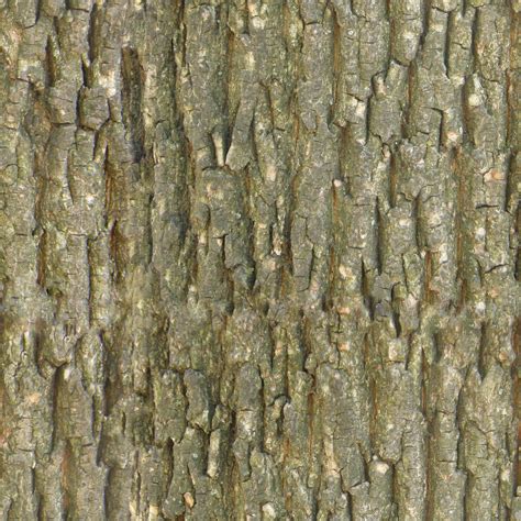 tileable bark texture texture sharecg