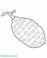 Jackfruit Coloring Pages Kids sketch template