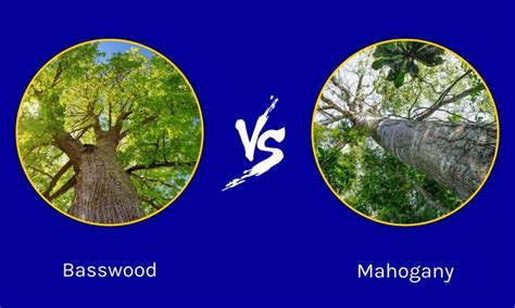 basswood  mahogany whats  difference   animals
