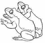 Frog Mewarnai Cycle Katak Grenouille Frogs Colorat Rane Frosch Broaste Animaux Planse Coloriage Templates Broscute Colorare Doua Ausmalbild Ausmalbilder Button sketch template