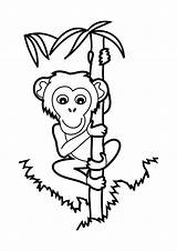 Chimpanze Escalada Pintarcolorir Printable Dibujosonline Getdrawings Imagens Bamboo Categorias sketch template
