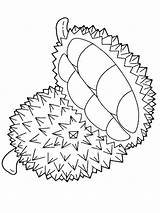 Durian Coloring Pages Drawing Fruits Kids Fruit Print Printable Color Books Paintingvalley Visit Recommended sketch template