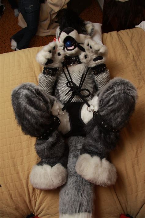 bound and gagged fursuits find luscious