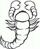 Scorpion Scorpione Kolorowanki Skorpion Disegno Colorare Skorpiony Coloriage Scorpions Dla Pobrania Coloriages Druku Bestcoloringpagesforkids sketch template
