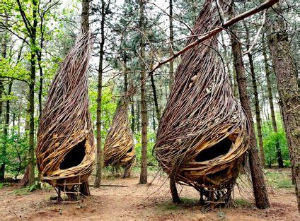 tree huts tree hut building  treehouse land art