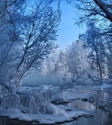 beautiful winter scenes