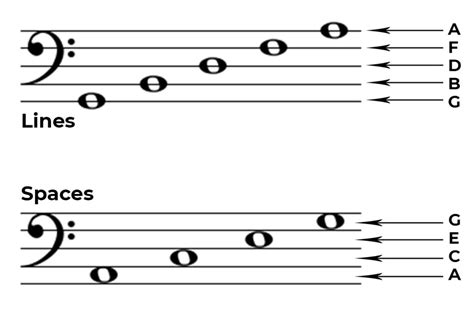 bass clef general overview phamox