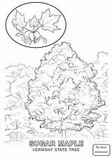 Vermont Coloring Pages Cultures Countries Getcolorings Getdrawings sketch template