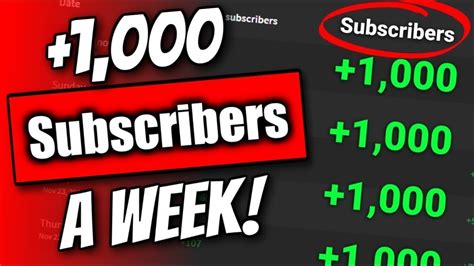 subscribers   week  youtube youtube