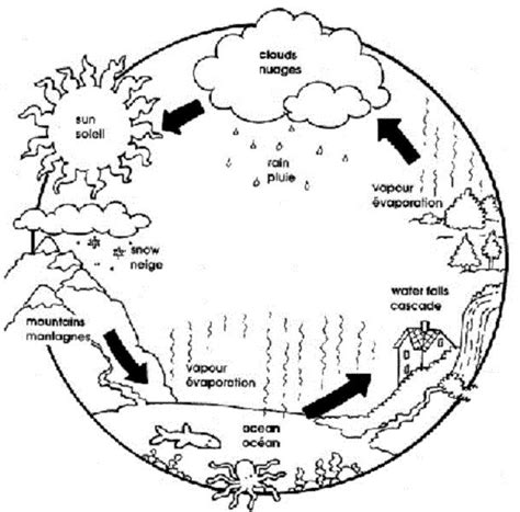 water cycle coloring pages  kids water cycle water cycle