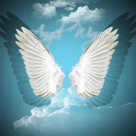 angel wings psd joy studio design gallery  design