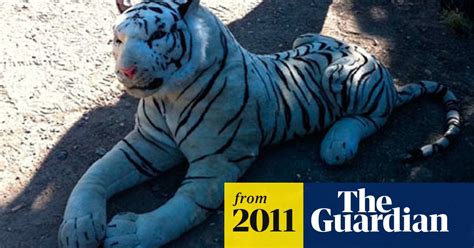 White Tiger Toy Scare Causes Hampshire Police Alert World News The