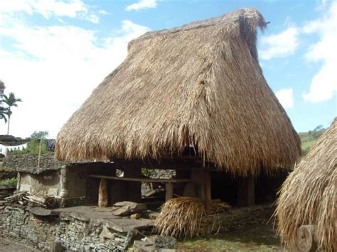nama rumah adat tradisional  indonesia beserta gambarnya