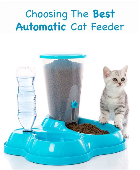 automatic cat feeder
