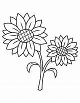 Sunflower Coloring Pages Printable Flower Template Flowers Simple Museprintables Nature Print Kids Fall Choose Board sketch template