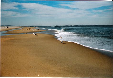 2009 10 25 sandy hook nj gunnison beach a photo on