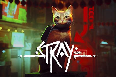 stray cat video game brings  benefits  real cats