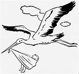 Storch Ausmalbild Malvorlage Erstaunlich sketch template