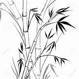 Bamboo Drawing Vector Clipart Illustration Leaf Tree Tattoo Outline Line Drawings Clip Leaves Chinese Painting Vectorstock Getdrawings Isolated Over Eps sketch template