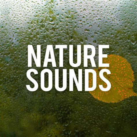 nature sounds nature sounds iheart