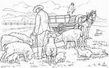 Coloring Pages Sheep Farm Printable Animal Adults Kleurplaten Schafe Malvorlagen Moutons Cool Complex Ferme Realistic Family sketch template