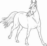 Paarden Kleurplaten Paard Lineart Equine Animaatjes Fries Coloriages Printen Negentiende Imprimer Précédent sketch template