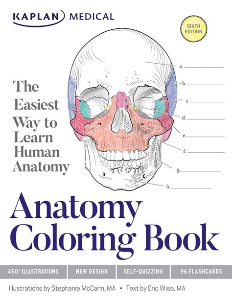 anatomy coloring book book  stephanie mccann eric wise official