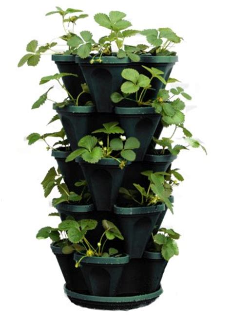 tier stackable strawberry herb flower vegetable