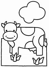 Coloring Cows Print Pages sketch template