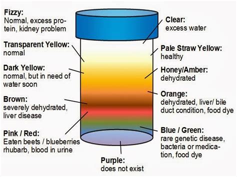urine color  determine  persons health status