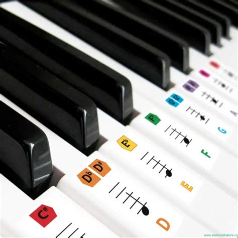 reusable large color piano key note keyboard stickers  adults