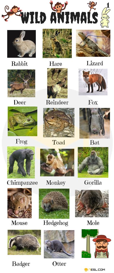list  animal names  complete temal