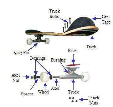 papan luncurcom skateboard parts